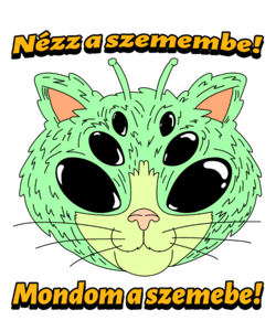 Nézz a szemembe!